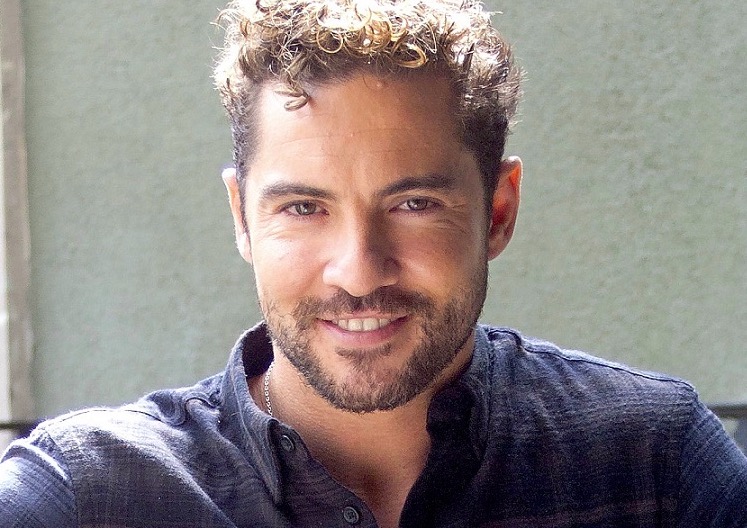 David Bisbal empieza a parecer el único triunfito con criterio